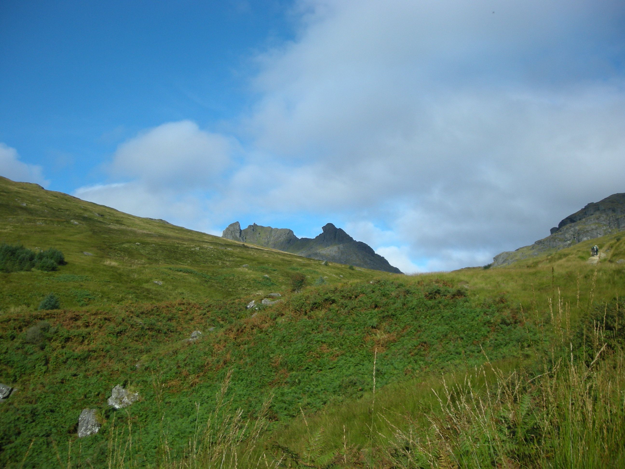 the-cobbler